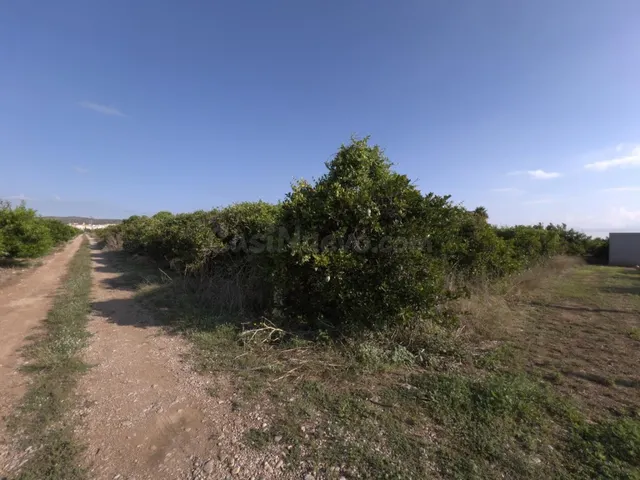 Finca rústica de naranjos en Alcanar — 7