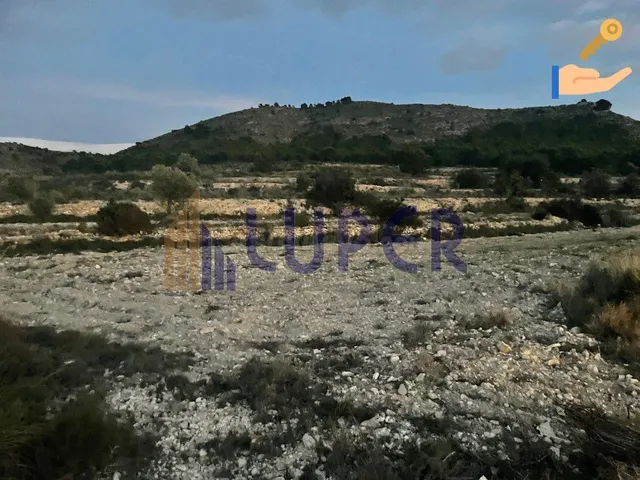 Finca Rústica en Agost 12.680m2 en el Ventor.