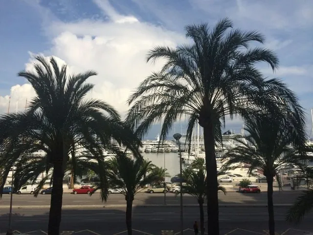 Espectacular Piso en Paseo Marítimo — 9