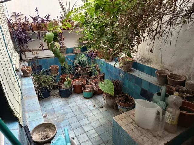 Magnifica casa en la magdalena!! — 13