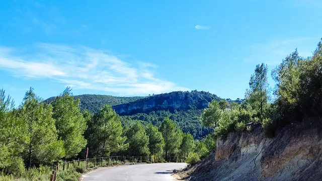 Tegeisa vende parcela con buenas vistas de 1909m2 - foto 4
