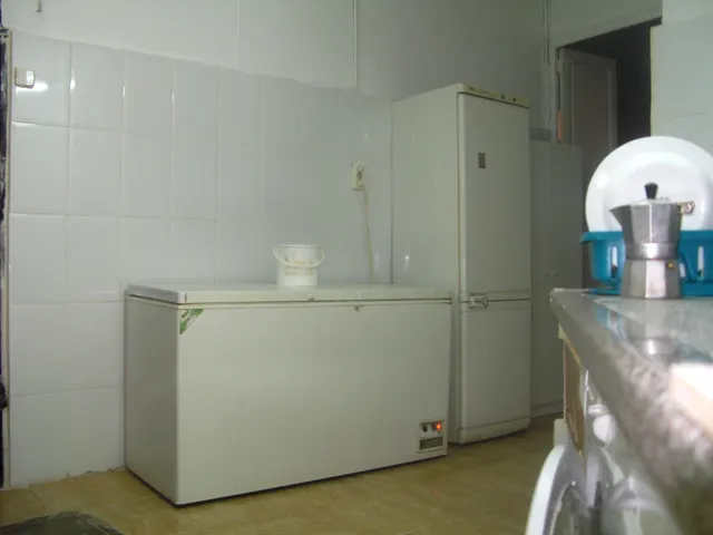 TRASPASO DE HORNO  BOLLERÍA  EN EL BOTANIC — 18