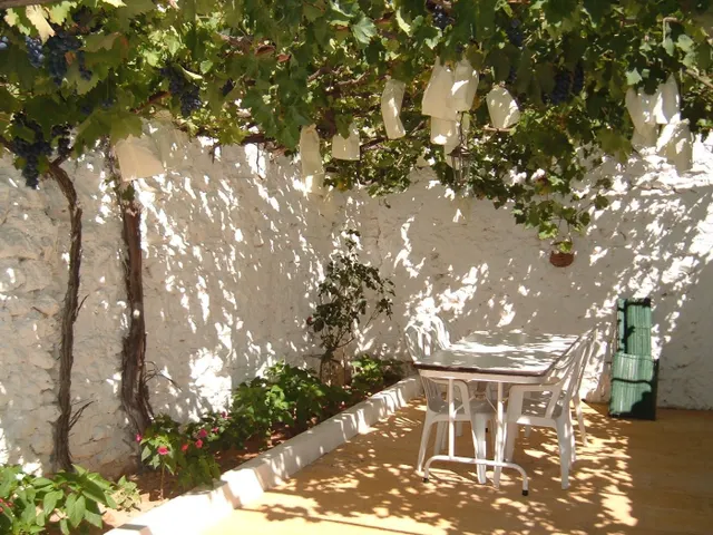 Casa en el paraje "la laguna de Alpera" ( a 5 km del casco urbano) — 13