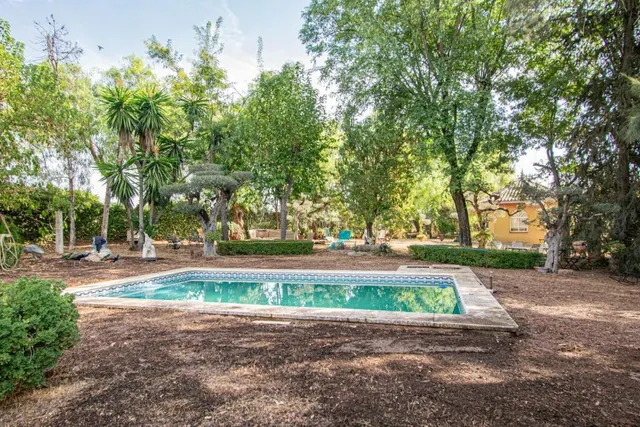 Espectacular finca en carretera mairena - almensilla !!! — 55