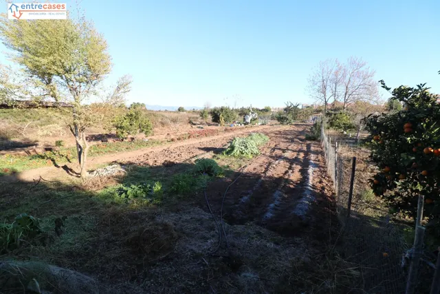 Conjunto de parcelas en Canet de Berenguer (zona gasolinera) — 2