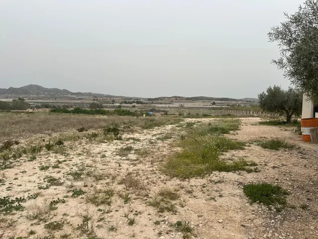 Casa de campo a 15 minutos de alicante — 11