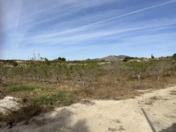 Parcela de terreno cercano al casco urbano