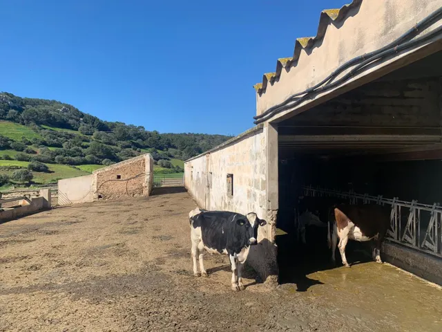 C-7047 - Casa de Campo en Ciutadella — 37