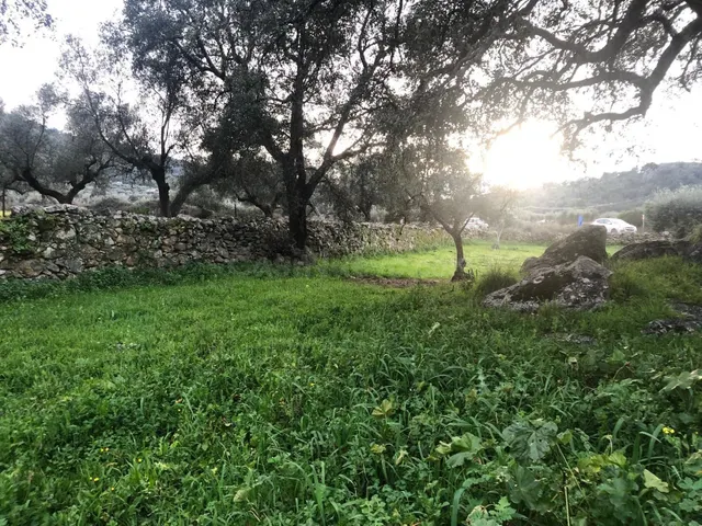 Finca en Montánchez - foto 2