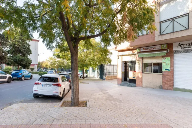 VENTA DE LOCAL EN URBANIZACION PARQUE NUEVA GRANADA (GRANADA) — 17