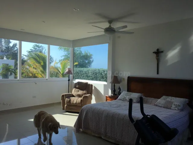 Vendo o arriendo casa en Zona Norte - foto 4