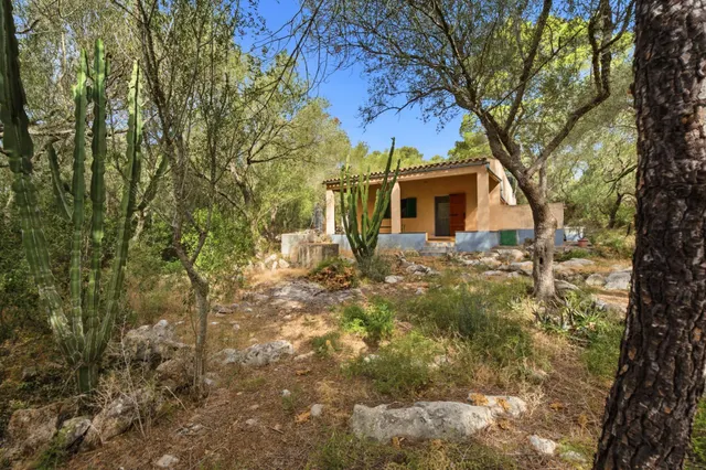 Encanto rústico en plena naturaleza, a solo 5 minutos de Es Cruce – Petra, Mallorca — 12