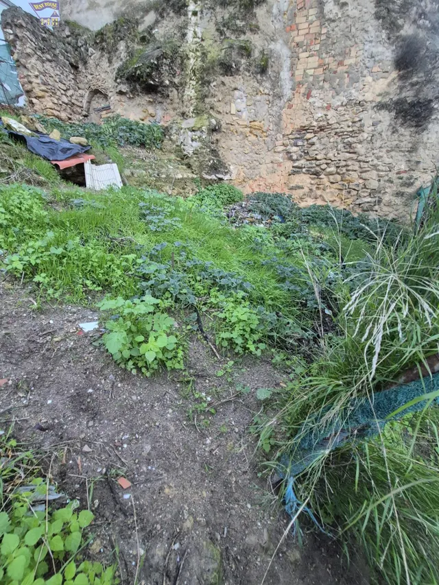 SE VENDE SOLAR EN ZONA DEL CASCO ANTIGUO — 5