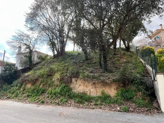 tu futura casa en sant daniel! — 6