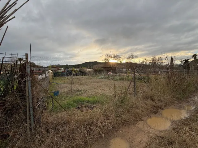 Huertos rentables en explotación | 22.000 € anuales de ingre - foto 5