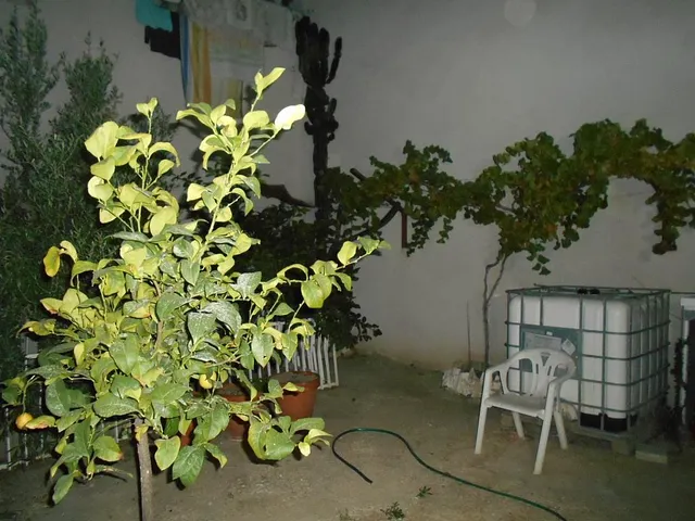 Ocasion vivienda de 2 plantas, terraza y local — 35