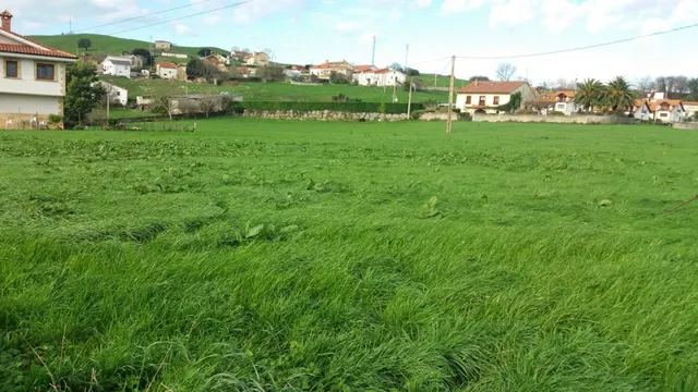 PARCELA URBANA EN ENTORNO NATURAL Y A 2 KILOMETROS  DE LA PLAYA. — 6