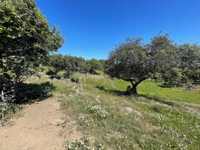 Terreno rural en venta - Extremadura - foto 3