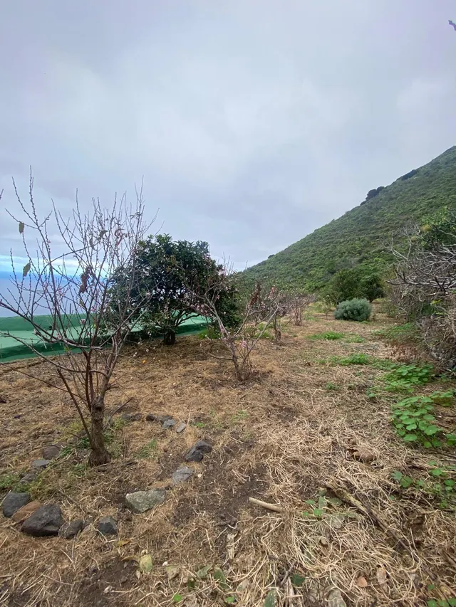 Casa Rural en Sabinosa — 24