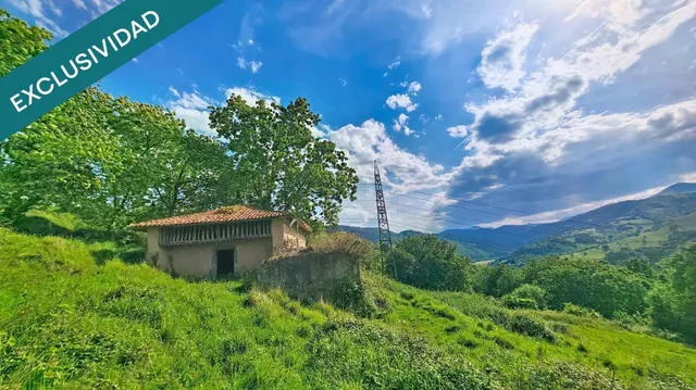 Más de una hectárea de Asturias, una cabaña de piedra y todo el valle por delante. — 19
