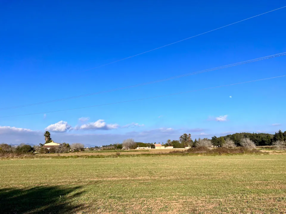 Finca rústica en Alcudia