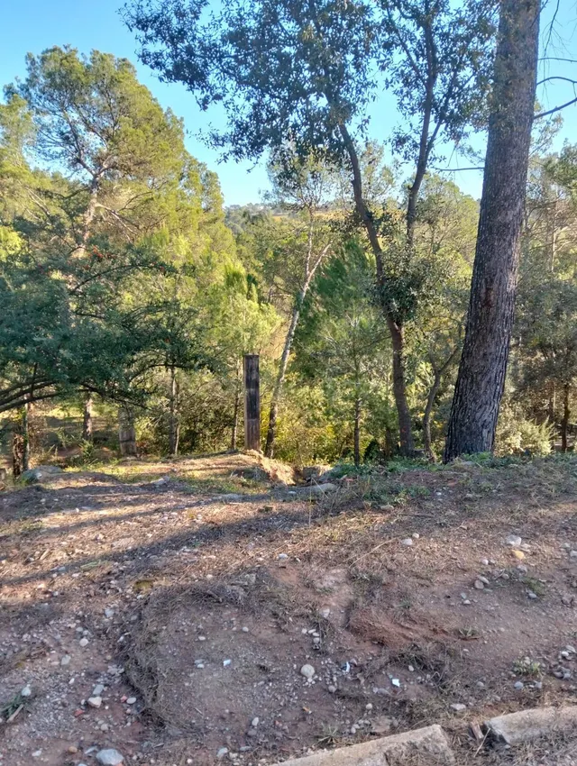 Parcela en venta en Pinedes de Castellnou - foto 2