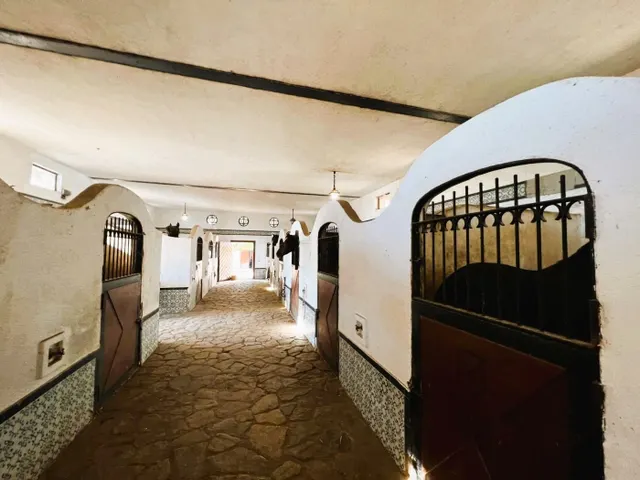 FINCA ECUESTRE DE ESTILO MEDITERRÁNEO. — 26