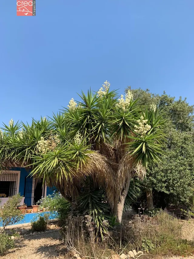 PRECIOSA Y ELEGANTE CASA DE CAMPO CON JARDINES Y PISCINA PRIVADA EN EL VALLE DEL SOL — 17