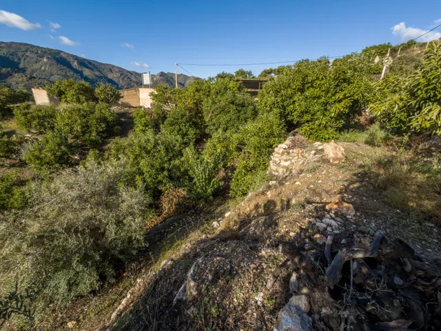 Finca rústica de AGUACATES con CONTRUCCIÓN de 37 m2 en Los Guájares (Faragüit) — 27