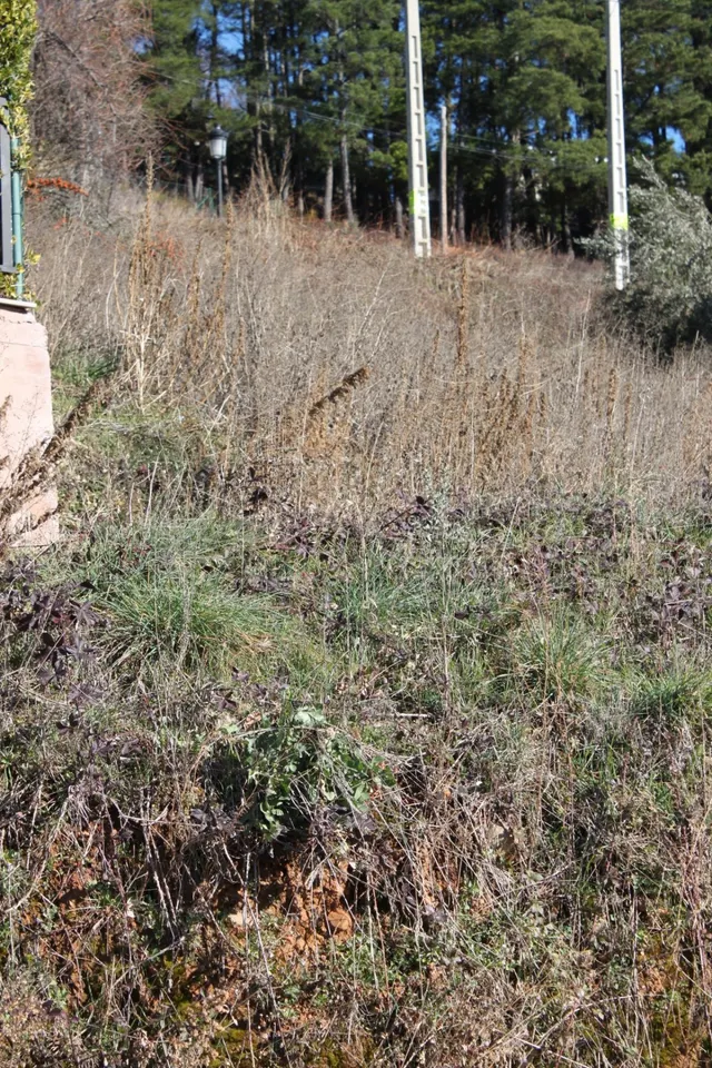 TERRENO URBANO EN URBANIZACION PATRICIA — 2
