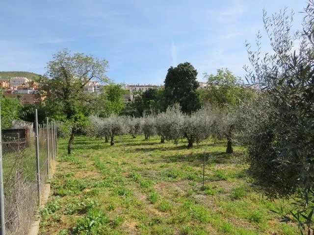 Finca en Cenes de la Vega - foto 4