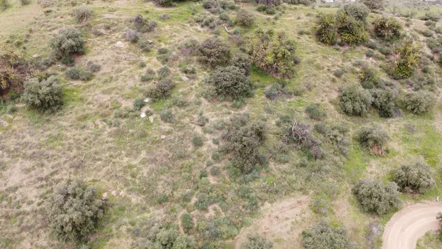 Parcela en venta - Puerto Sol-Los Almendros-El Tomillar — 11