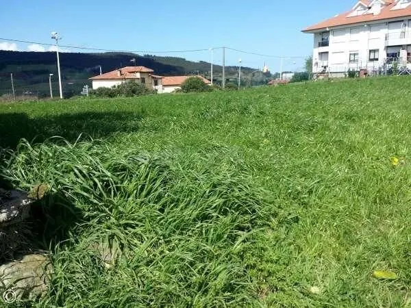TERRENO URBANO EN MERUELO - foto 4