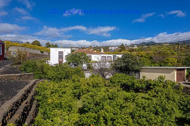 Casa de pueblo en Venta en Paso, El Santa Cruz de Tenerife - foto 5