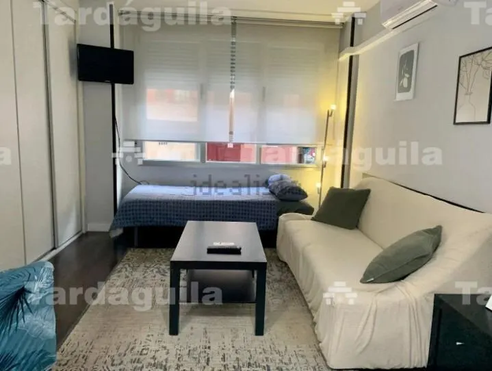 ESTUDIO REFORMADO EN LA AVENIDA PORTUGAL