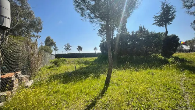 Terreno rural 10m² en alquiler - San Nicasio — 15