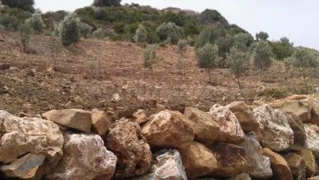 Parcela en venta - Costa Del Sol - foto 2