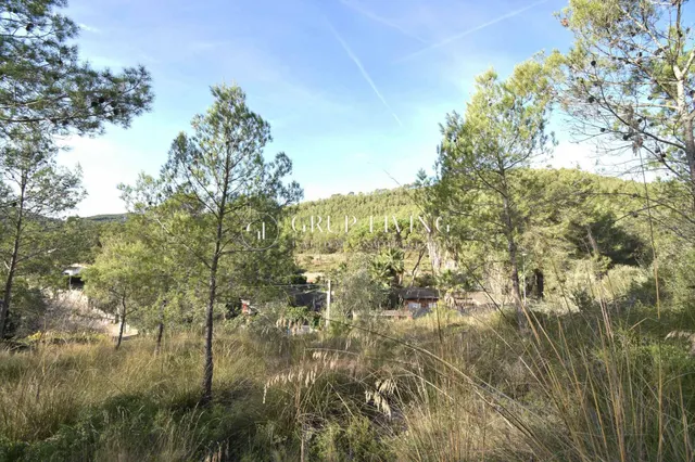TERRENO CON BUENA ORIENTACIÓN Y VISTAS EN MAS MESTRE — 10