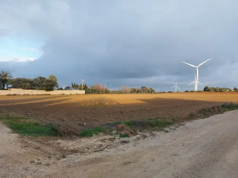 GRAN TERRENO RÚSTICO EN MARQUESADO