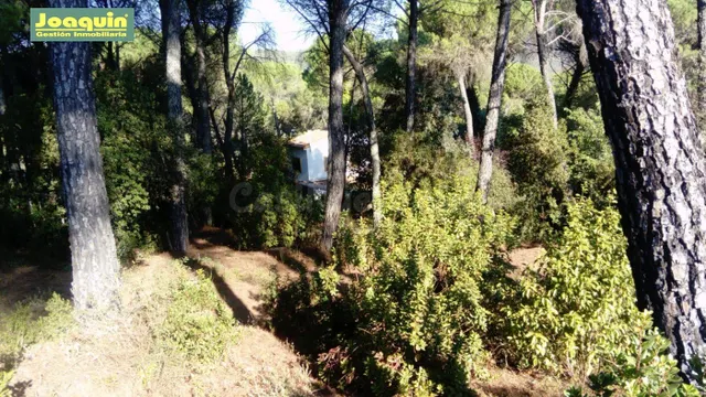 GRAN TERRENO URBANO EN TRASSIERRAS. - foto 3