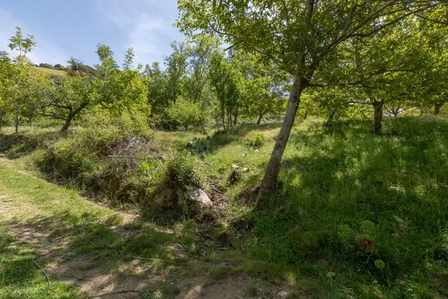 PARCELA EN VENTA EN SOPORTÚJAR — 5