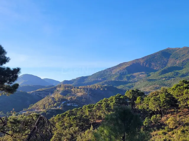 Parcela en venta - Costa del Sol