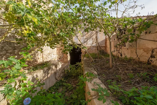 Casa señorial de 300 m2 para reforma integral en el centro de Porreres — 16