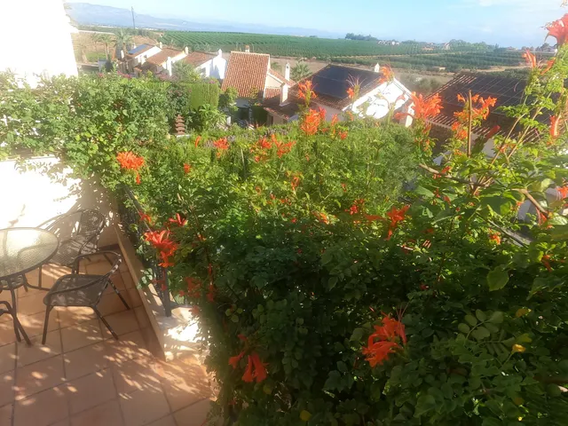 Bungalow 2 habitaciones 65m² en venta - Comunidad valenciana — 13
