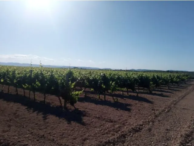 CASTELLÓ DE RUGAT (VALENCIA) - GRAN PARCELA - SE VENDE — 5