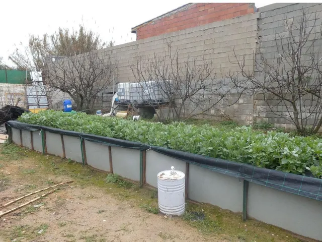 Finca rústica en Peligros – Ideal inversión o explotación agrícola — 13