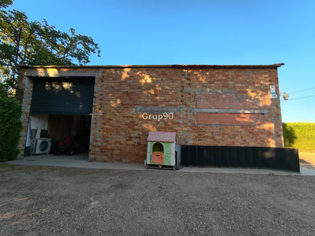 Finca de 7.500 m2 con 200 olivos y almacén de 123 m2 en partida rufea – ¡a solo 5 minutos de Lleida! — 12
