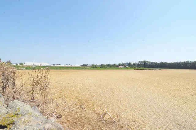 Urbis te ofrece un terreno en Doñinos de Salamanca, zona Santibañez del Río. Importante: la parcela no tiene edificación. — 5
