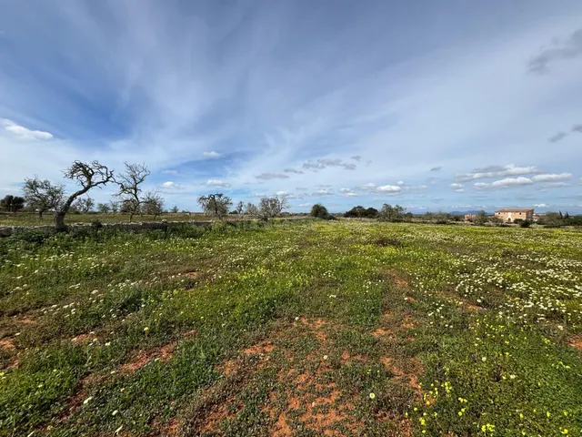 Casa de campo 4 habitaciones 350m² en venta - Área de Santan