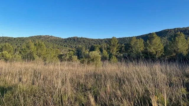 Parcela en venta en Jalón con vistas abiertas y gran potenci - foto 5